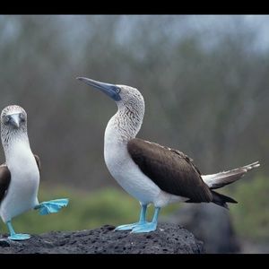 Meet your Posher, Karsten